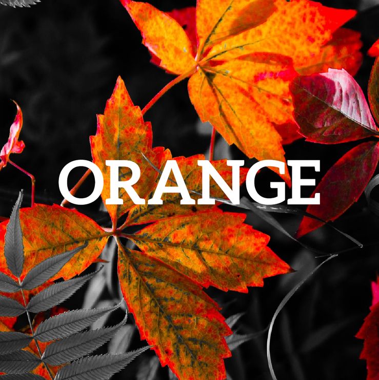 Orance